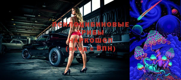мдпв Абинск