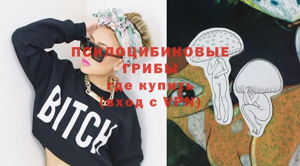мдпв Абинск