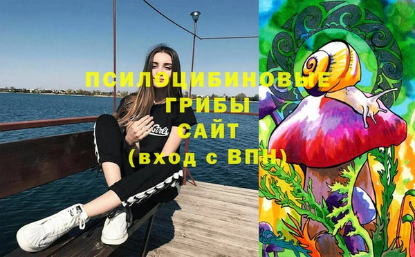 мдпв Абинск