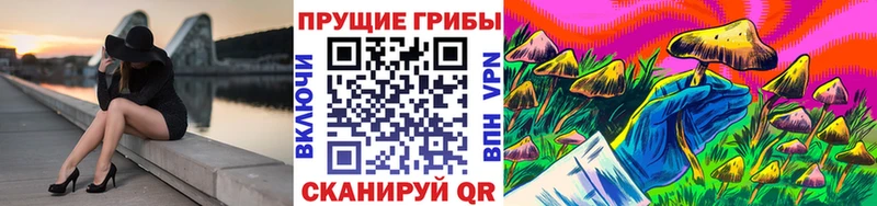 Псилоцибиновые грибы мицелий  купить  цена  Нягань 