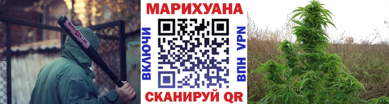 Конопля сатива  Нягань 